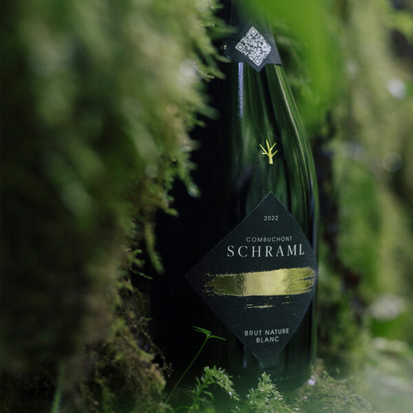 Schraml Combuchont Brut Nature Blanc 2022 - Image 2